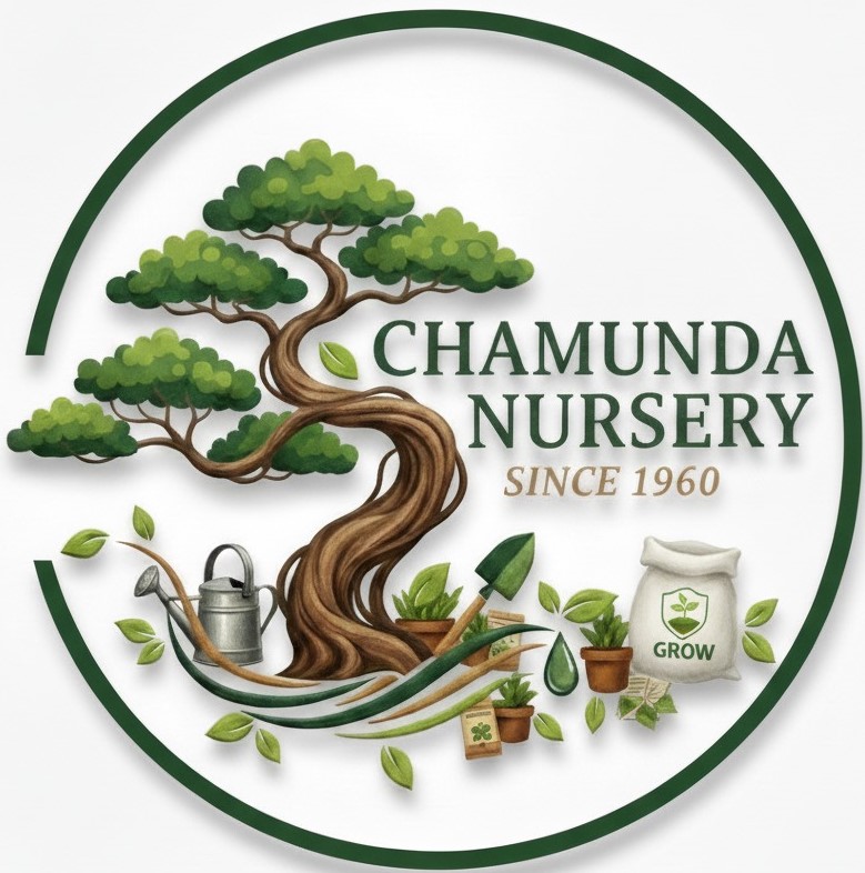 Chamunda Nursery and Farm